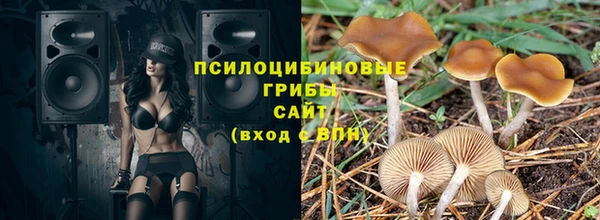 стафф Майский