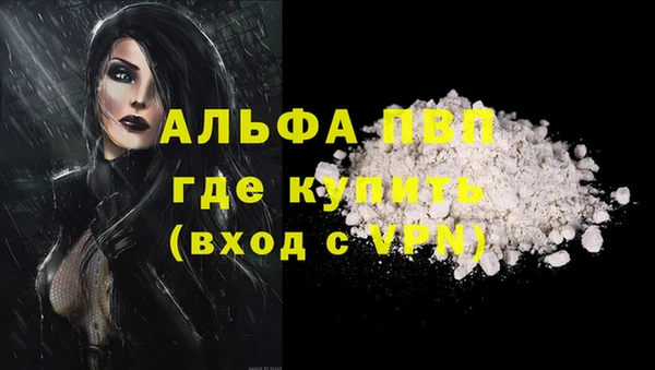 стафф Майский