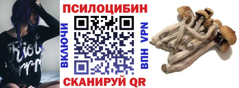 Псилоцибиновые грибы прущие грибы  как найти закладки  Сольвычегодск 